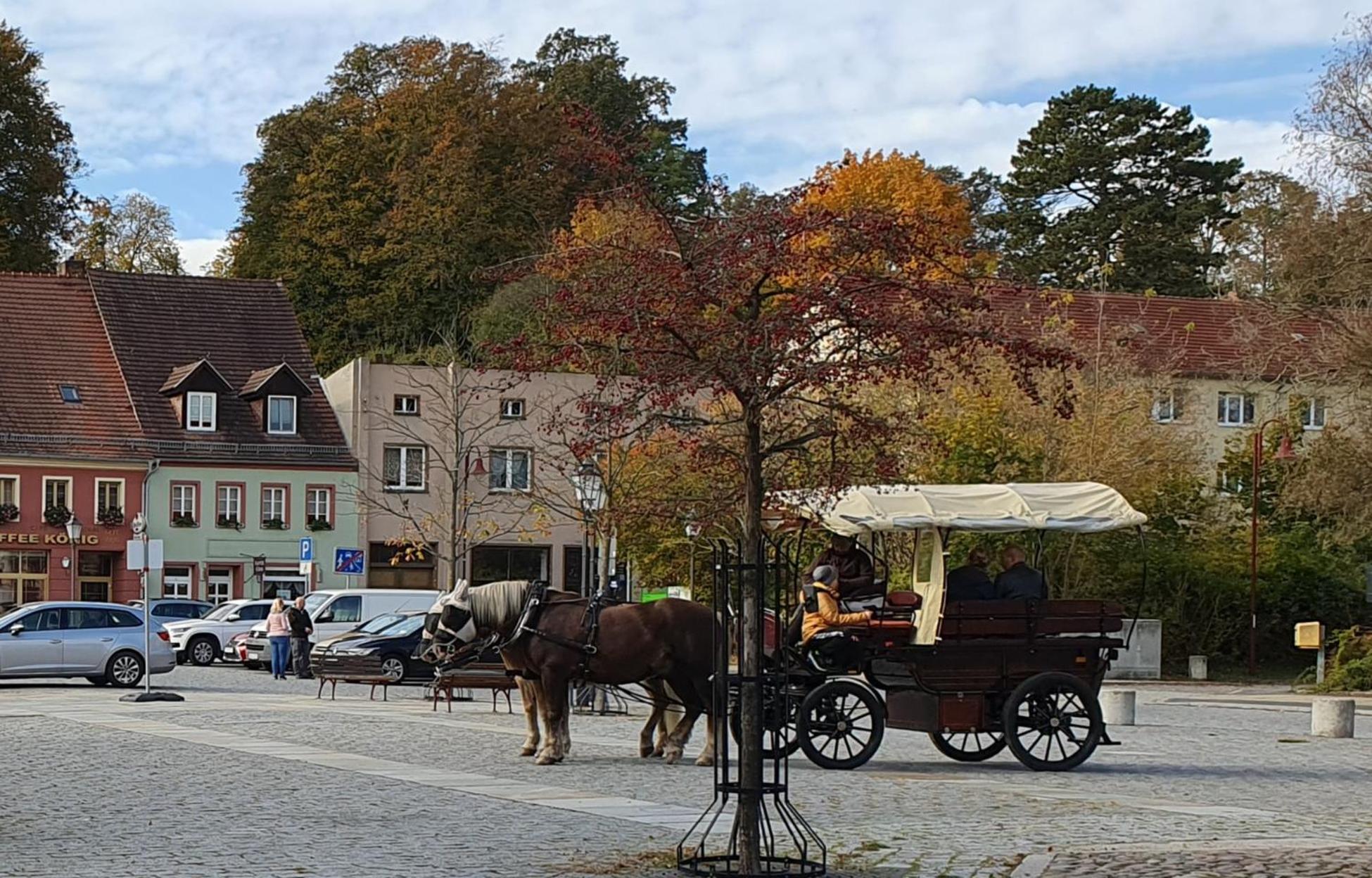 Apartment Gruener Fuerst Mit Sitzecke Im Innenhof & Naehe Park & Erdgeschoss バート・ムスカウ エクステリア 写真
